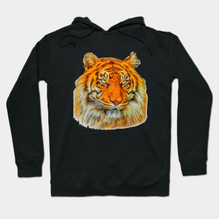 Sumatran Tigers Head Hoodie